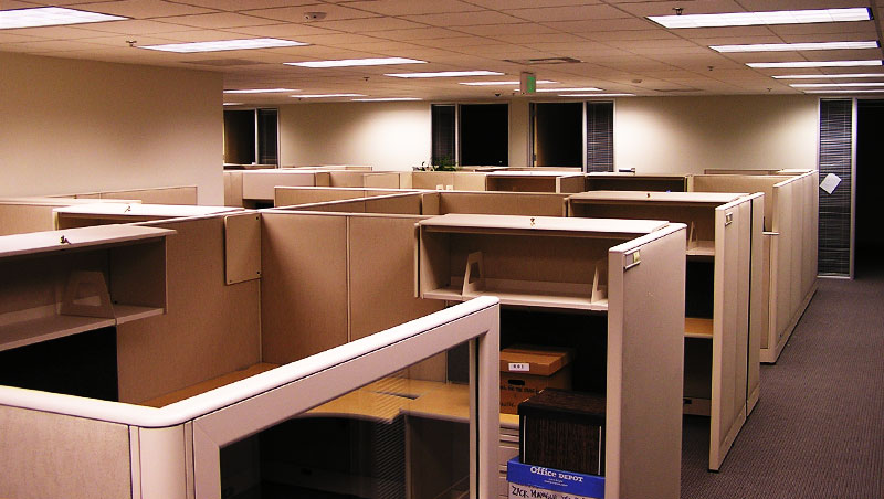 Cubicals in office